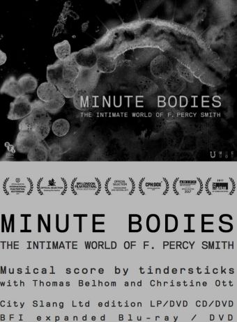 Minute bodies
